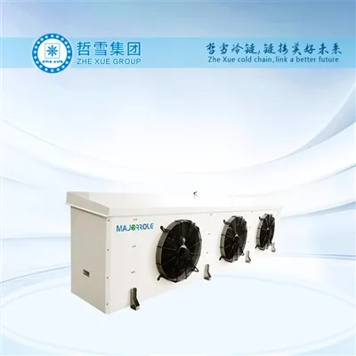 Évaporateur soufflant double face multi-effet